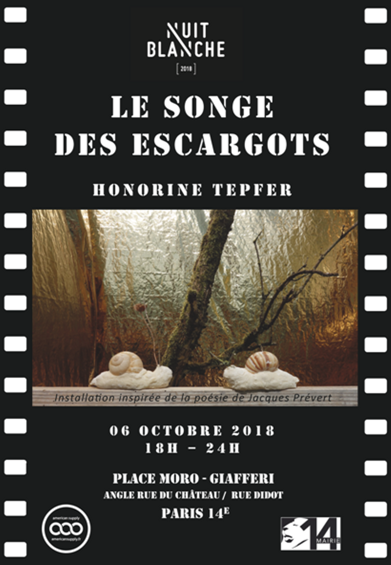 nuit blanche Tepfer.png